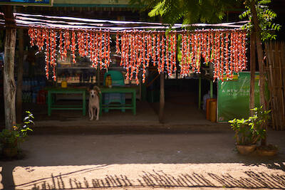Myanmar 187