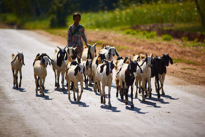 Myanmar 189