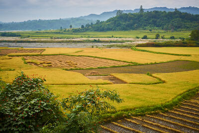 Myanmar 253
