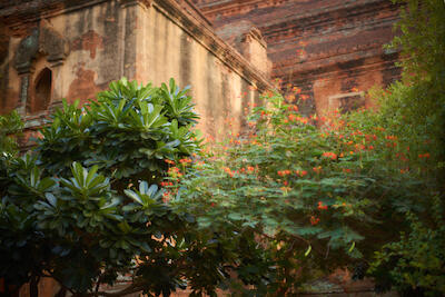 Myanmar 256