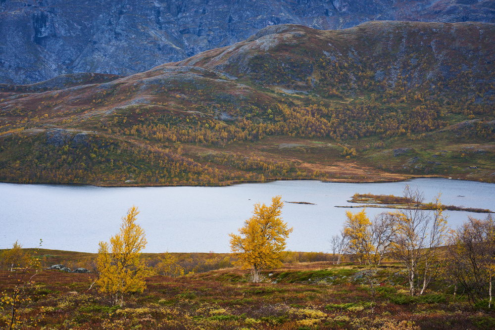 Norwegen 9