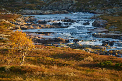 Norwegen 43