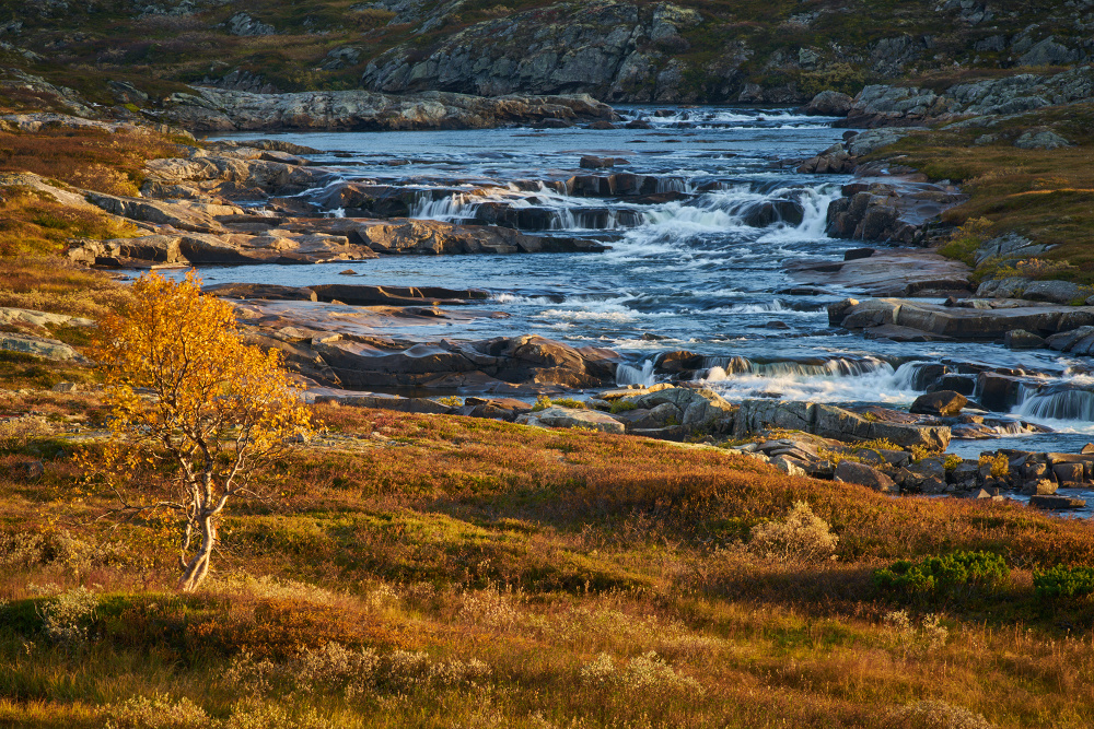Norwegen 43