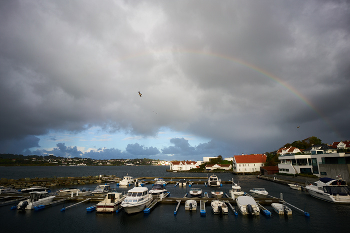 Norwegen 81