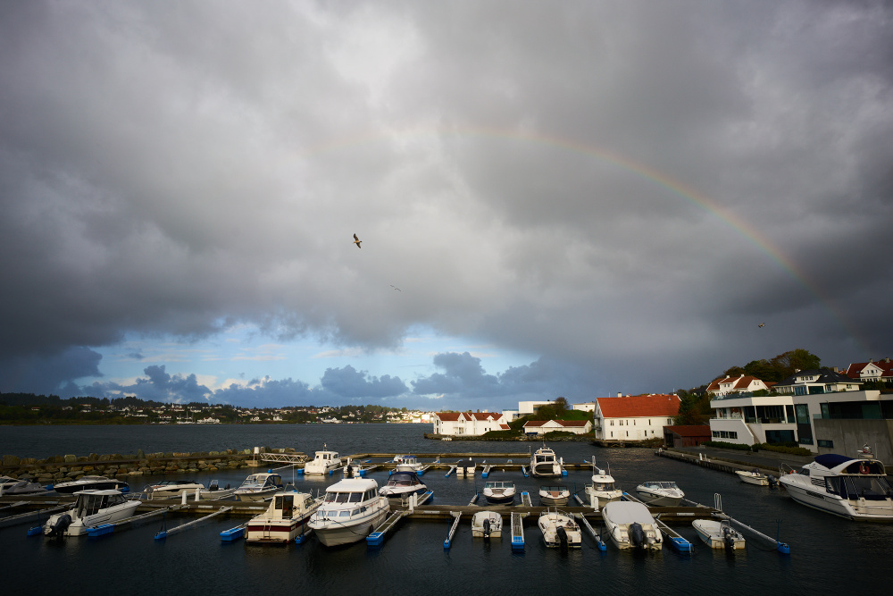 Norwegen 81