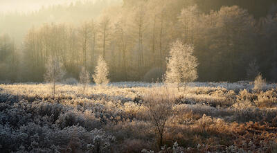 Wintersonne