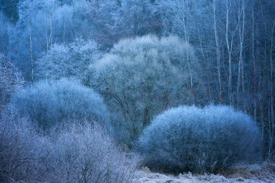 Fifty Shades of Greyish Blue