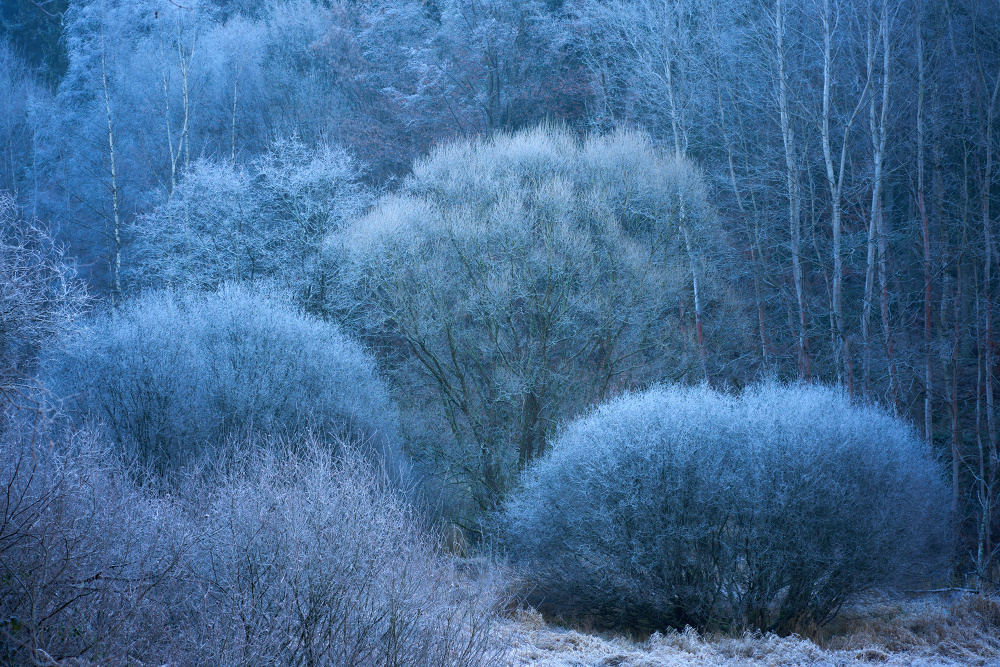 Fifty Shades of Greyish Blue