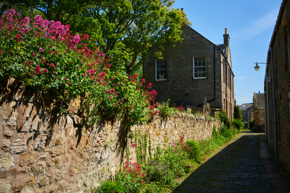 Schottland 6