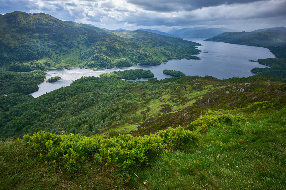 Schottland 28