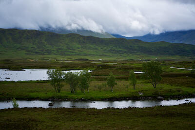 Schottland 31
