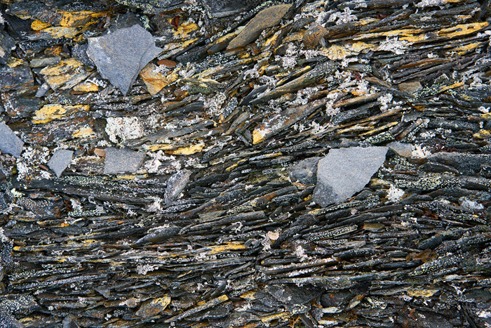 Spitzbergen 16