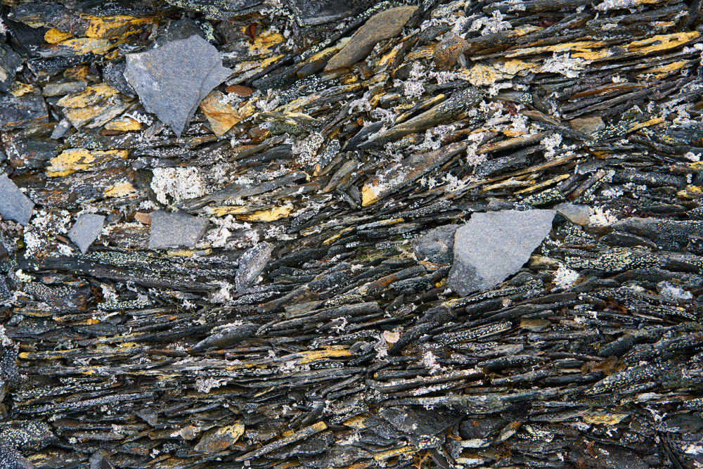 Spitzbergen 16
