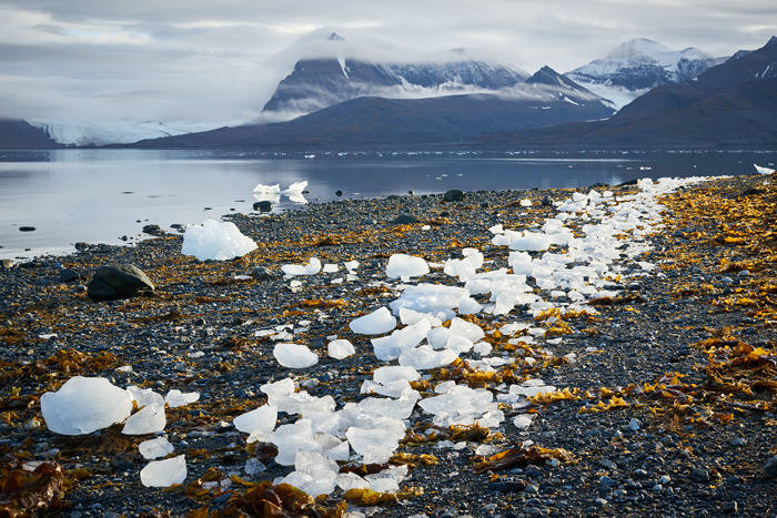 Spitzbergen 19