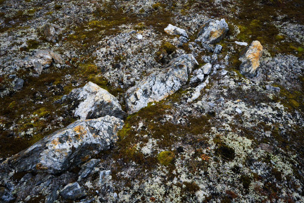 Spitzbergen 68