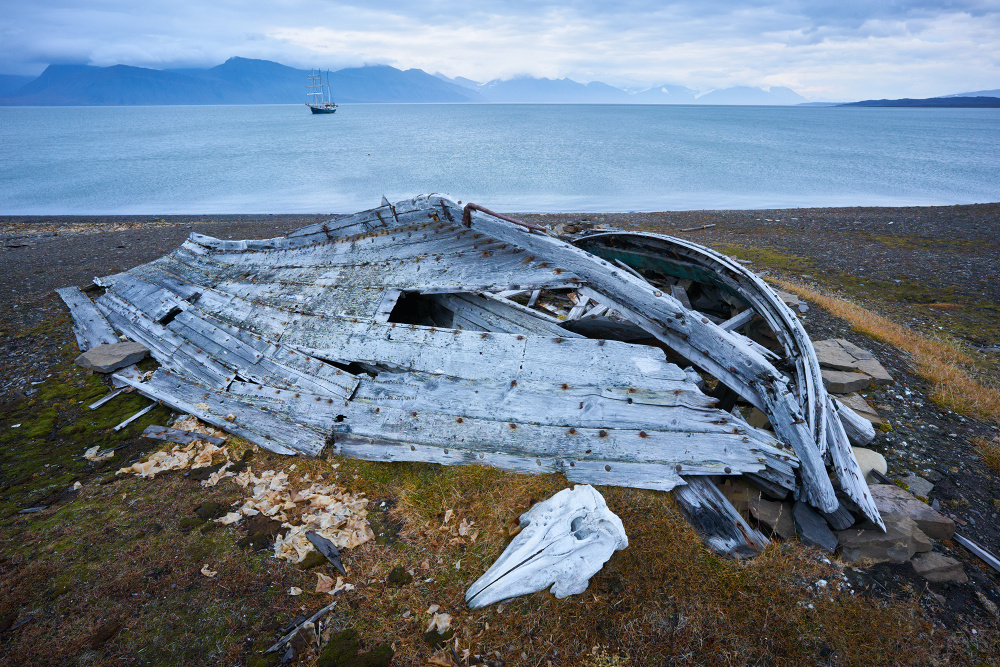 Spitzbergen 74