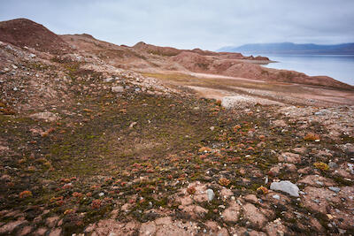 Spitzbergen 89