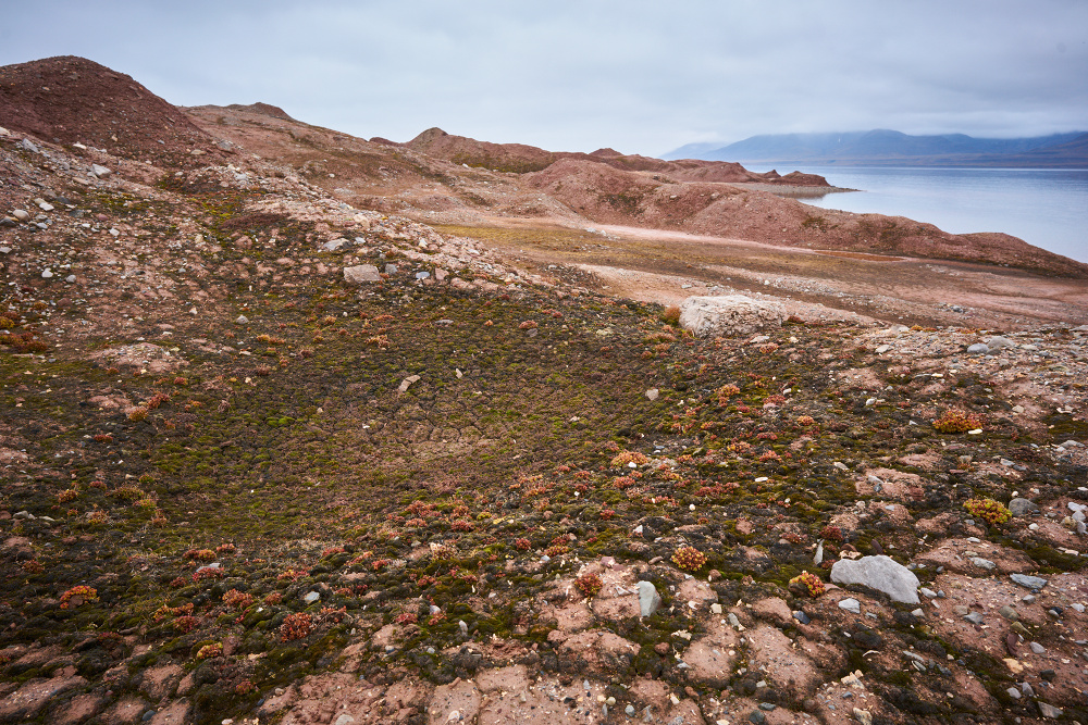 Spitzbergen 89