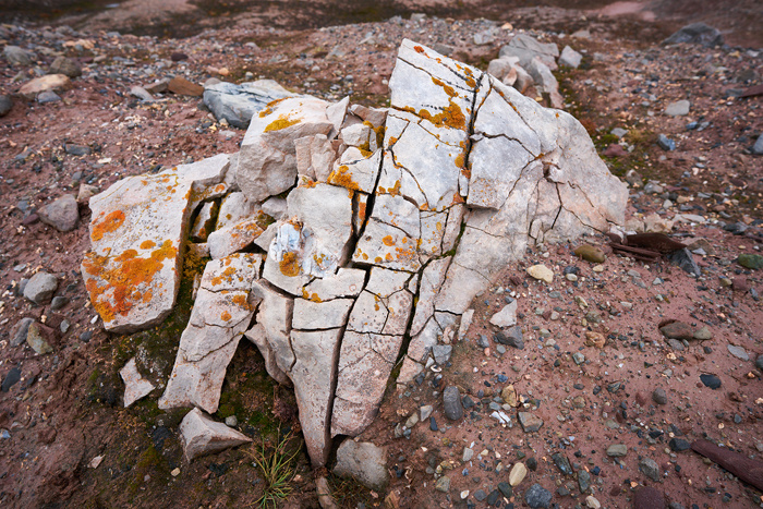 Spitzbergen 91