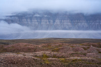 Spitzbergen 93