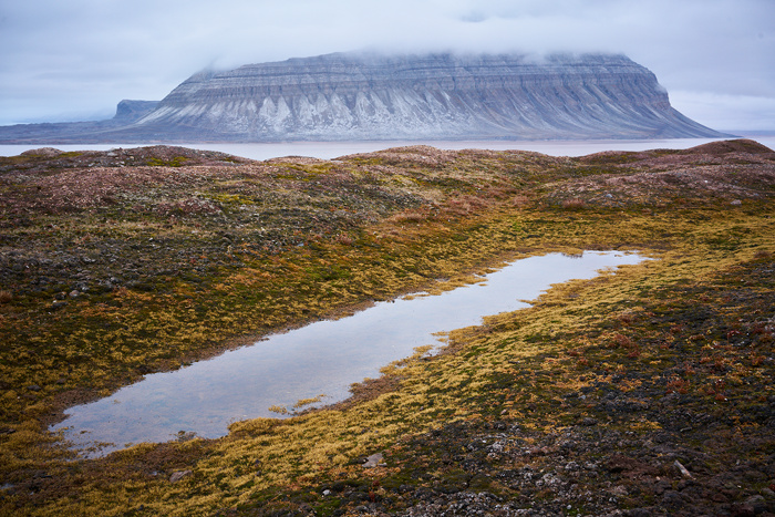 Spitzbergen 94