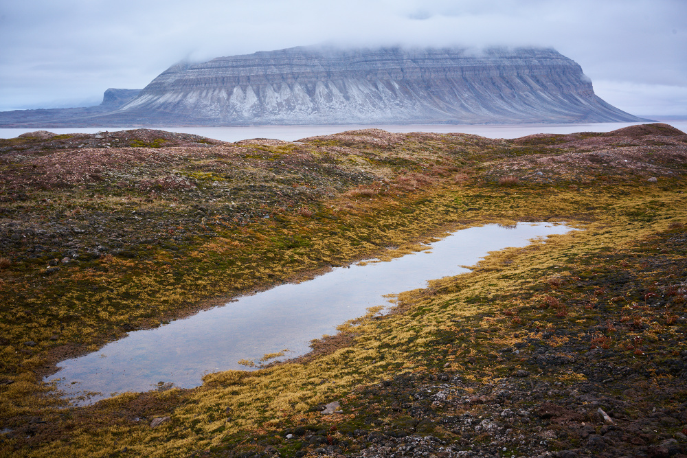 Spitzbergen 94