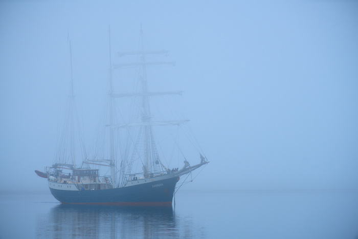 Spitzbergen 99