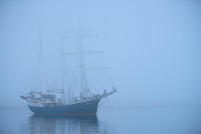 Spitzbergen 99