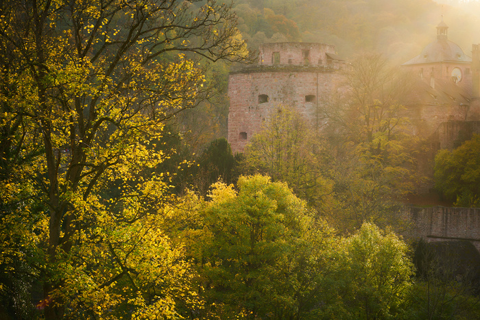 Heidelberger Schloss II