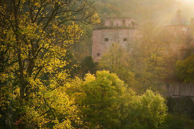 Heidelberger Schloss II