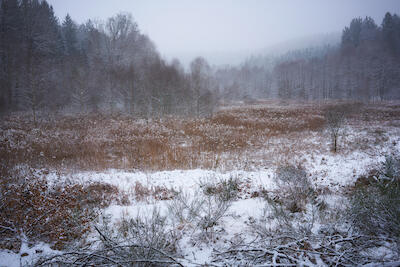 Winterlandschaft