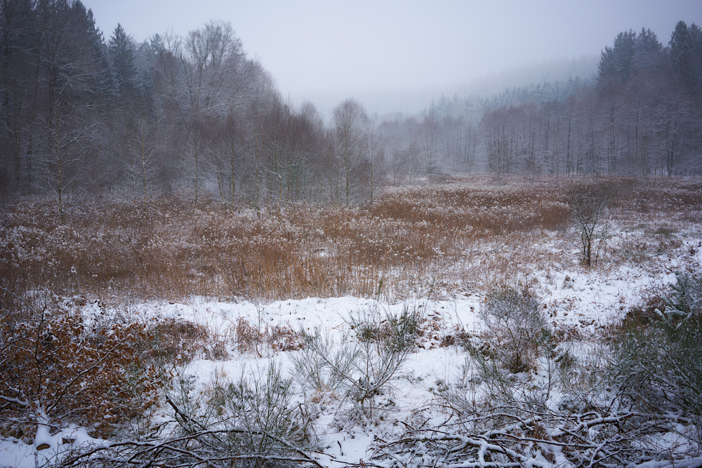 Winterlandschaft