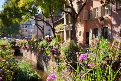 Colmar
