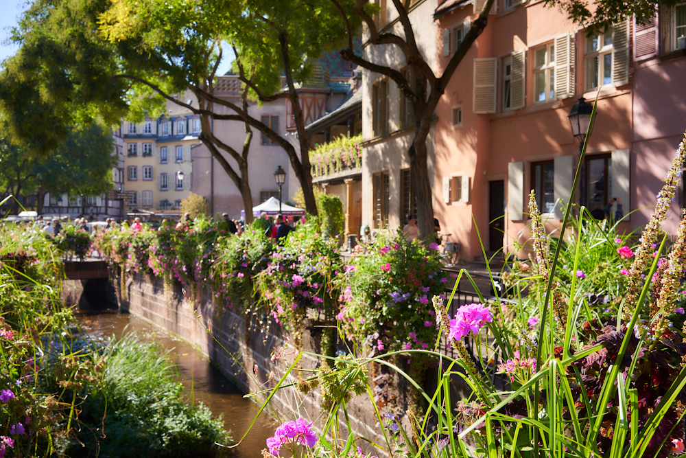 Colmar