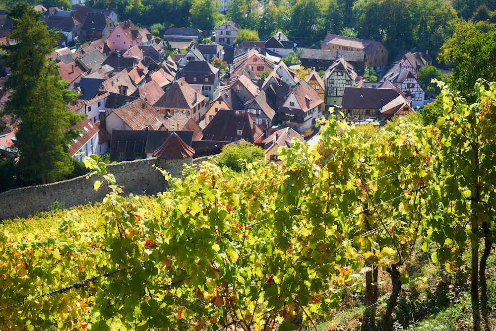 Ribeauvillé