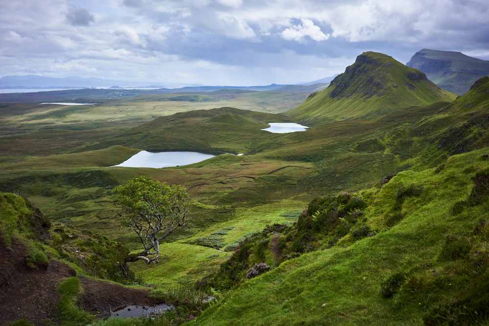 Schottland 16