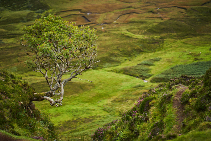 Schottland 17