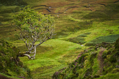Schottland 17