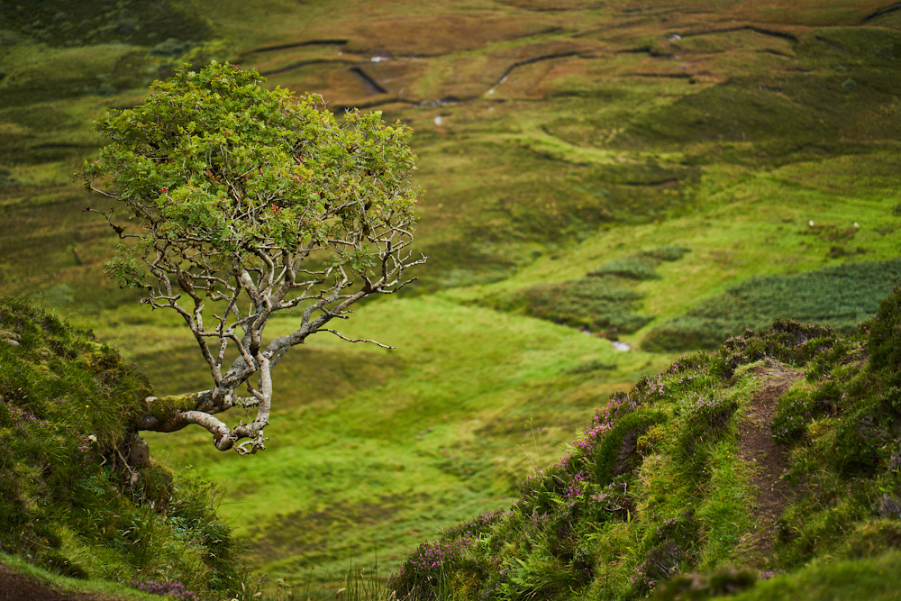 Schottland 17