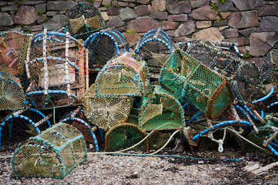 Schottland 22
