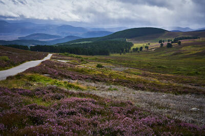 Schottland 31