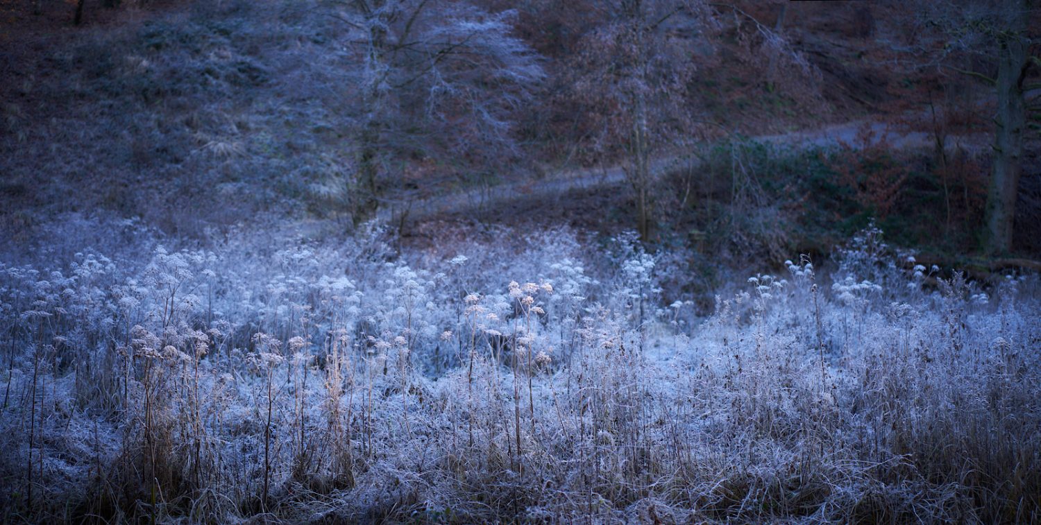 Der Winter schleicht sich ins Land