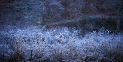 Der Winter schleicht sich ins Land