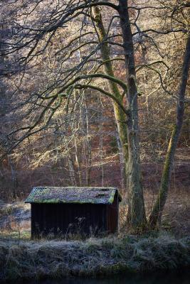 Kleine Hütte im Wald