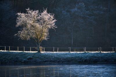 Warmes Licht in der Kälte