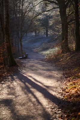 Der Weg
