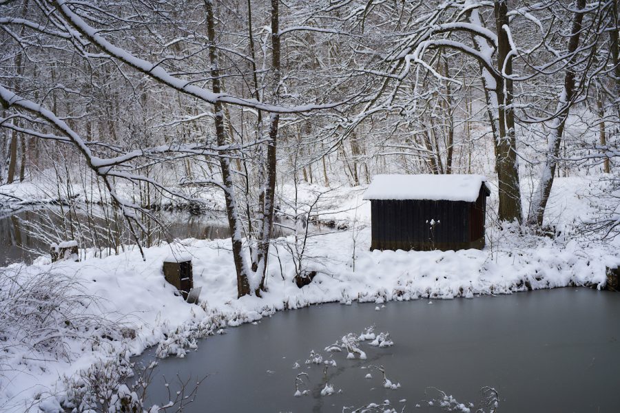 Kleine Hütte im Winterwald