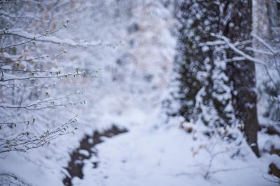 Winter im April