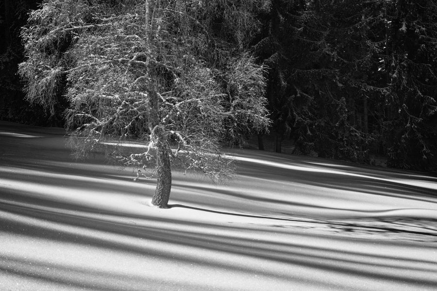 Winterlicht