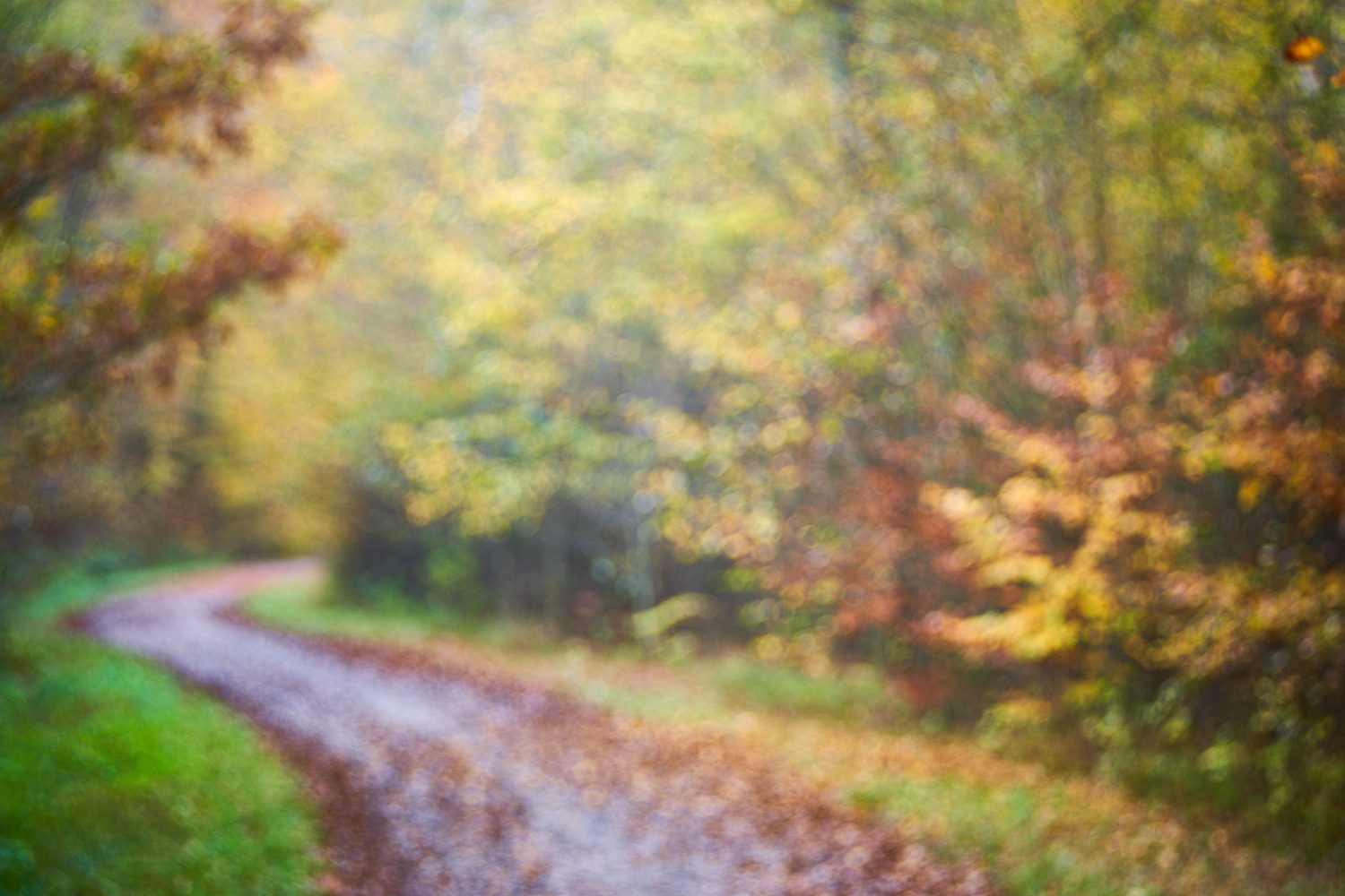 Herbstfarben